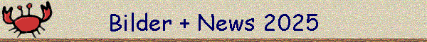 Bilder + News 2025